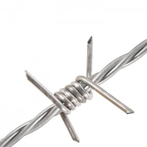 Barbed Wire Double Strand